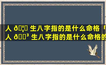 人 🦄 生八字指的是什么命格「人 🐳 生八字指的是什么命格的人」